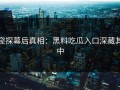 窥探幕后真相：黑料吃瓜入口深藏其中
