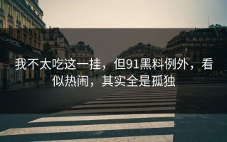 我不太吃这一挂，但91黑料例外，看似热闹，其实全是孤独
