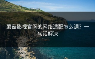 蘑菇影视官网的网络适配怎么调？一句话解决
