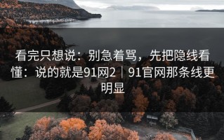 看完只想说：别急着骂，先把隐线看懂：说的就是91网2｜91官网那条线更明显