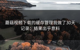 蘑菇视频下载的缓存管理我做了30天记录：结果出乎意料