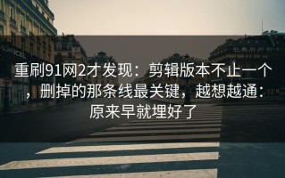 重刷91网2才发现：剪辑版本不止一个，删掉的那条线最关键，越想越通：原来早就埋好了