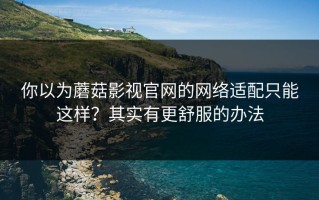 你以为蘑菇影视官网的网络适配只能这样？其实有更舒服的办法