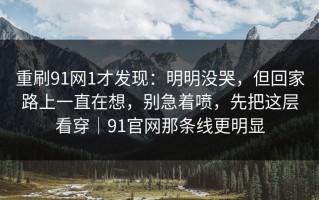 重刷91网1才发现：明明没哭，但回家路上一直在想，别急着喷，先把这层看穿｜91官网那条线更明显