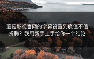 蘑菇影视官网的字幕设置到底值不值折腾？我用新手上手给你一个结论