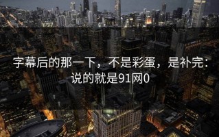 字幕后的那一下，不是彩蛋，是补完：说的就是91网0