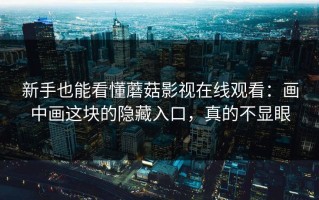 新手也能看懂蘑菇影视在线观看：画中画这块的隐藏入口，真的不显眼
