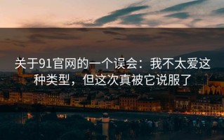关于91官网的一个误会：我不太爱这种类型，但这次真被它说服了