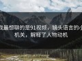我最想聊的是91视频，镜头语言的小机关，解释了人物动机