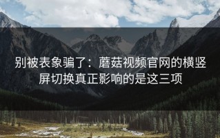 别被表象骗了：蘑菇视频官网的横竖屏切换真正影响的是这三项