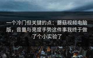 一个冷门但关键的点：蘑菇视频电脑版，音量与亮度手势这件事我终于做了个小实验了
