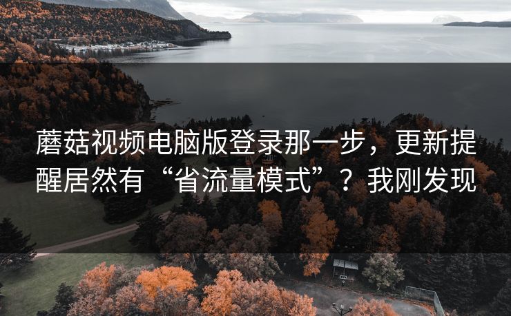 蘑菇视频电脑版登录那一步，更新提醒居然有“省流量模式”？我刚发现