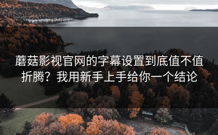 蘑菇影视官网的字幕设置到底值不值折腾？我用新手上手给你一个结论